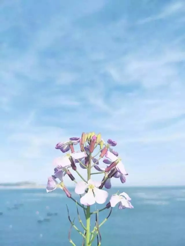 B.webp.jpg B.webp.jpg
